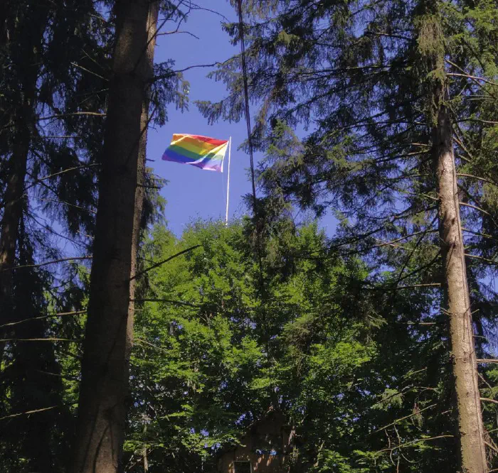 Pride Flagge über den Bäumen