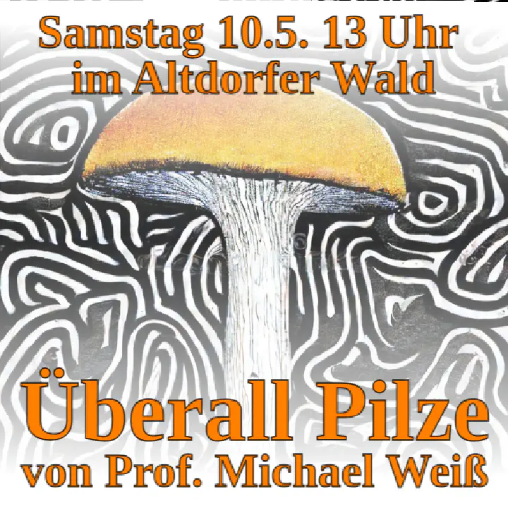 Programm 4